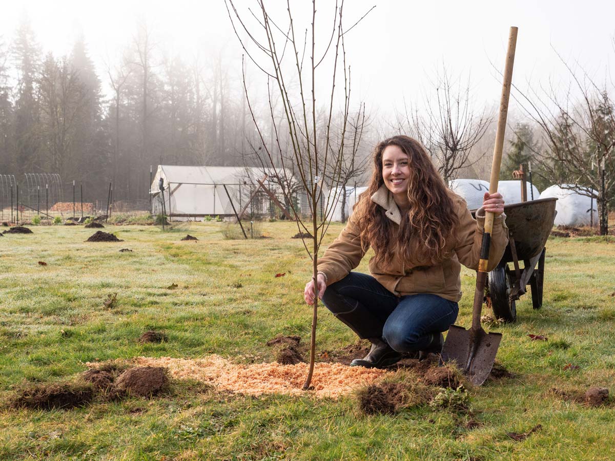 A woman crouched down next to a newly planted fruit tree.