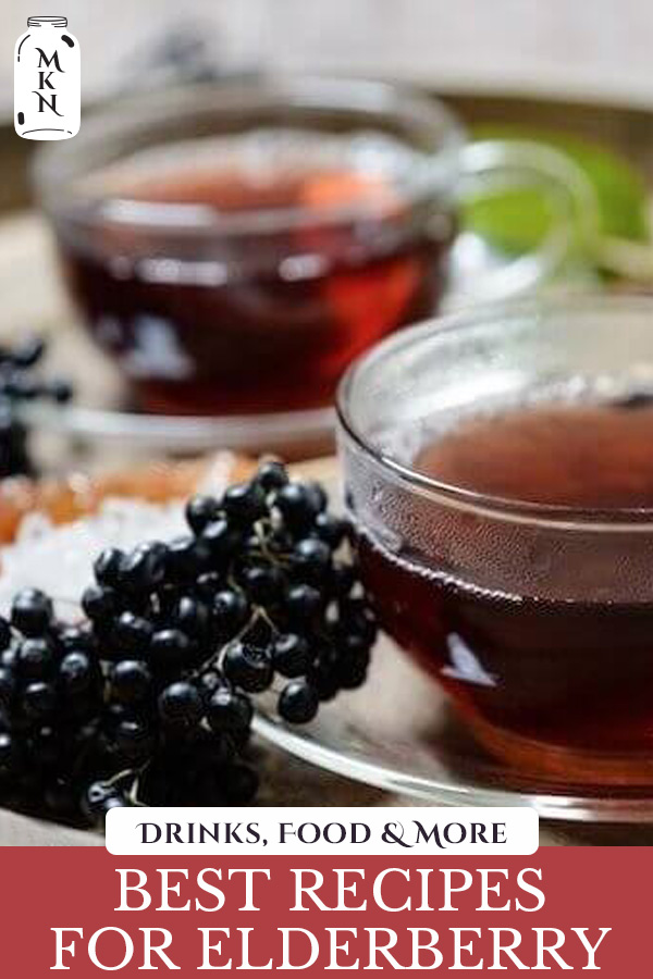 29 of the BEST Elderberry Recipes (Dried Elderberry Recipes) Melissa