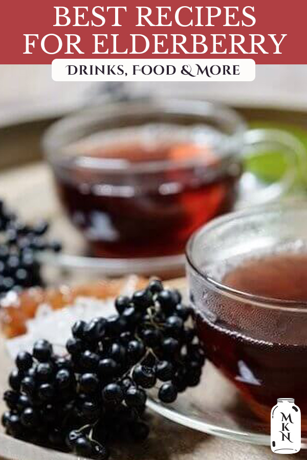 29 of the BEST Elderberry Recipes (Dried Elderberry Recipes) - Melissa ...