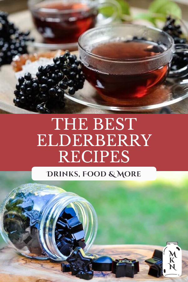 29 of the BEST Elderberry Recipes (Dried Elderberry Recipes) Melissa