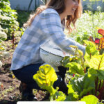 Pinterest pin for beginning gardener tips with an image of a woman in a vegetable garden.