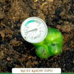 Pinterest pin for beginning gardener tips with an image of a soil thermometer in the soil.