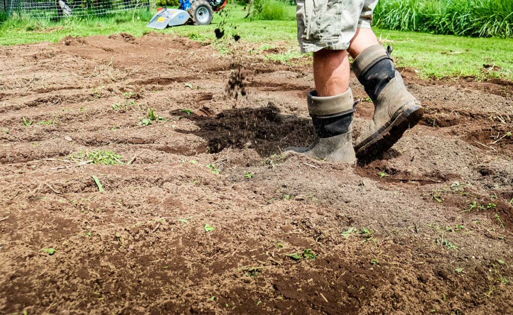 Image of feet walking through the garden adding compost over the soil.