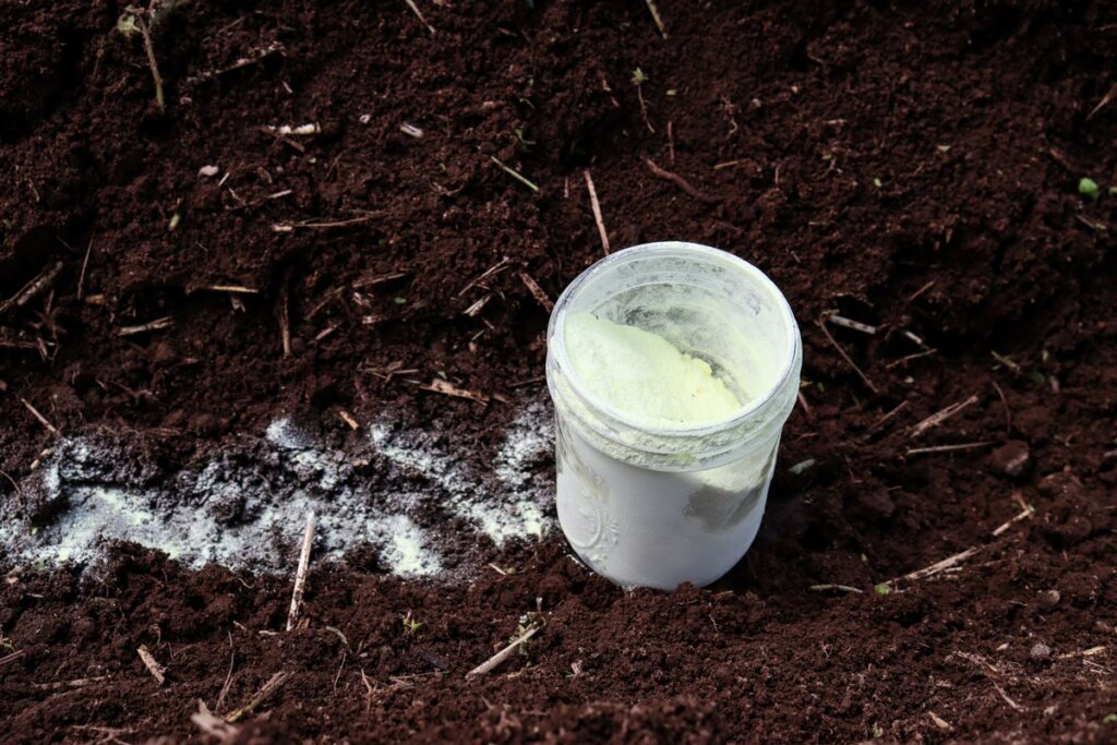 Photo of a jar of elemental sulfur and some sprinkled into the ground.