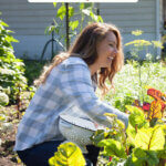 Pinterest pin for how to buy a homestead. Image of a woman harvesting produce from the garden.