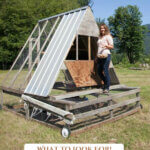 Pinterest pin for how to buy a homestead. Image of a woman gathering eggs from a chicken tractor.