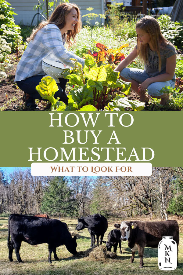 How to Buy a Homestead What to Look For Melissa K. Norris