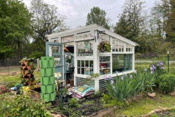 Image of a greenhouse with plants all around it.