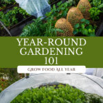 Pinterest pin for year round gardening and using covers to extend the garden season with images of a garden and row covers.