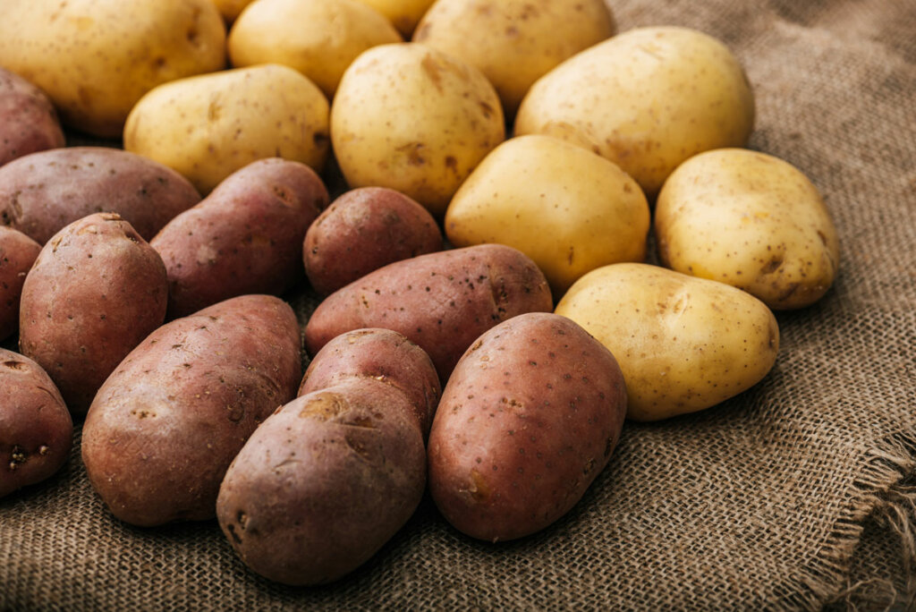 Fresh Red Potatoes, Size A