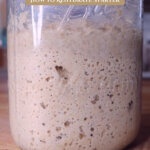 Pinterest pin for rehydrating a dehydrated sourdough starter. Image of sourdough starter in a jar.