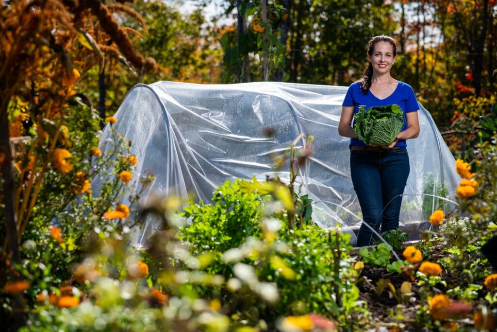 A woman standing in a garden in front of a covered garden bed, holding a large head of cabbage.