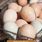 Pinterest pin on egg preservation methods. Image of a basket of eggs.