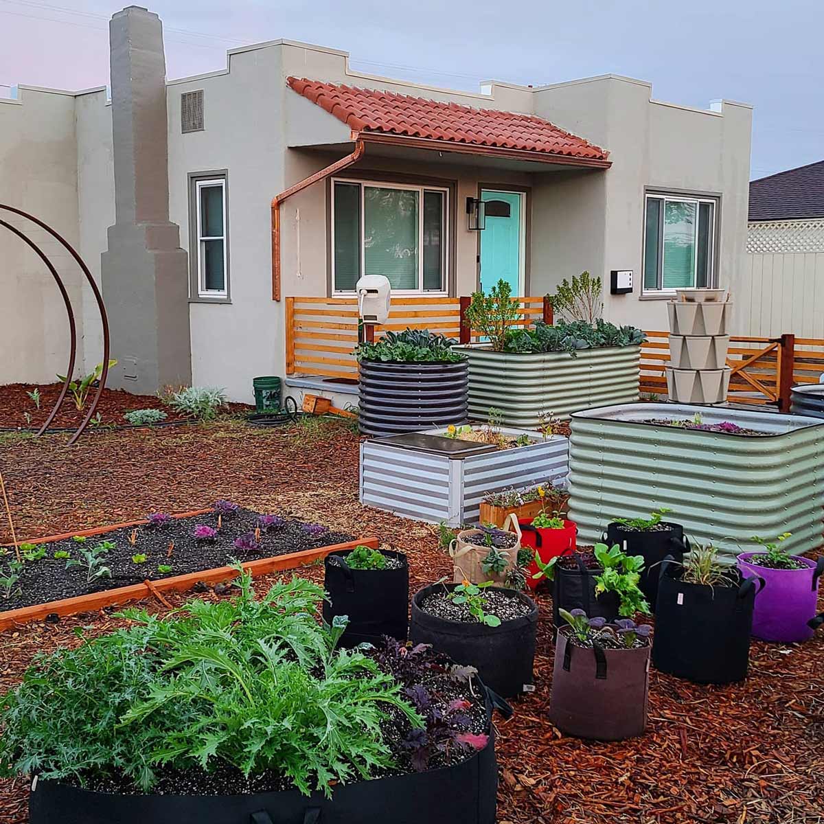 Using Vegetable Grow Bags in the Garden Melissa K. Norris