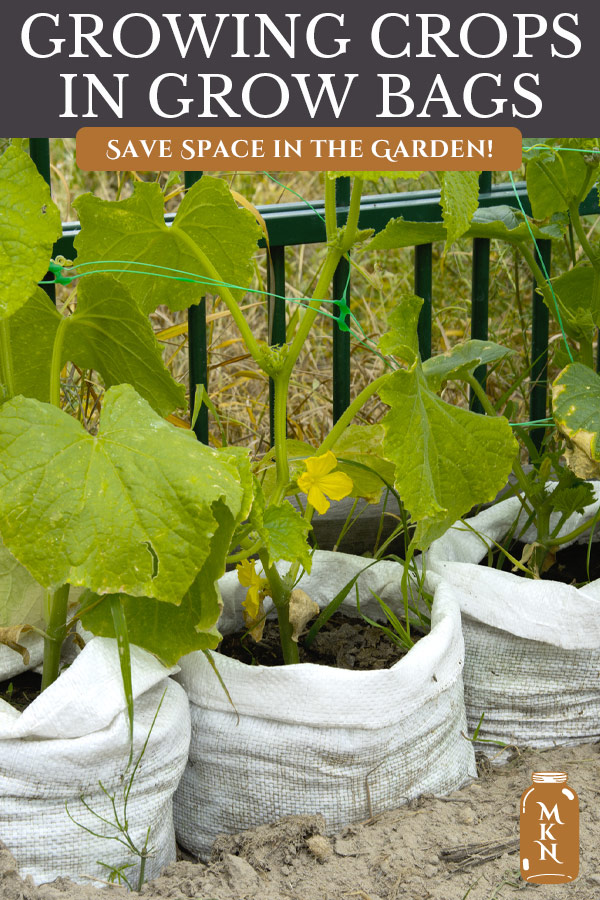 Using Vegetable Grow Bags in the Garden Melissa K. Norris