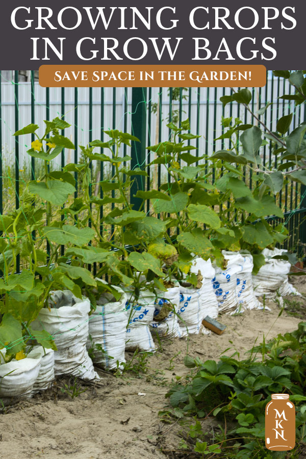 Using Vegetable Grow Bags in the Garden Melissa K. Norris