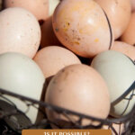 Pinterest pin on how to make money homesteading. Image of farm fresh eggs in a basket.