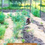 Pinterest pin for using woodchips in the garden. Image of a garden that's been mulched with woodchips.