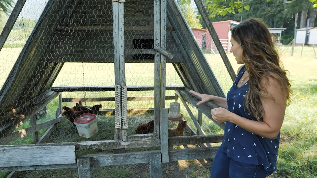 Cattle Archives - Melissa K. Norris