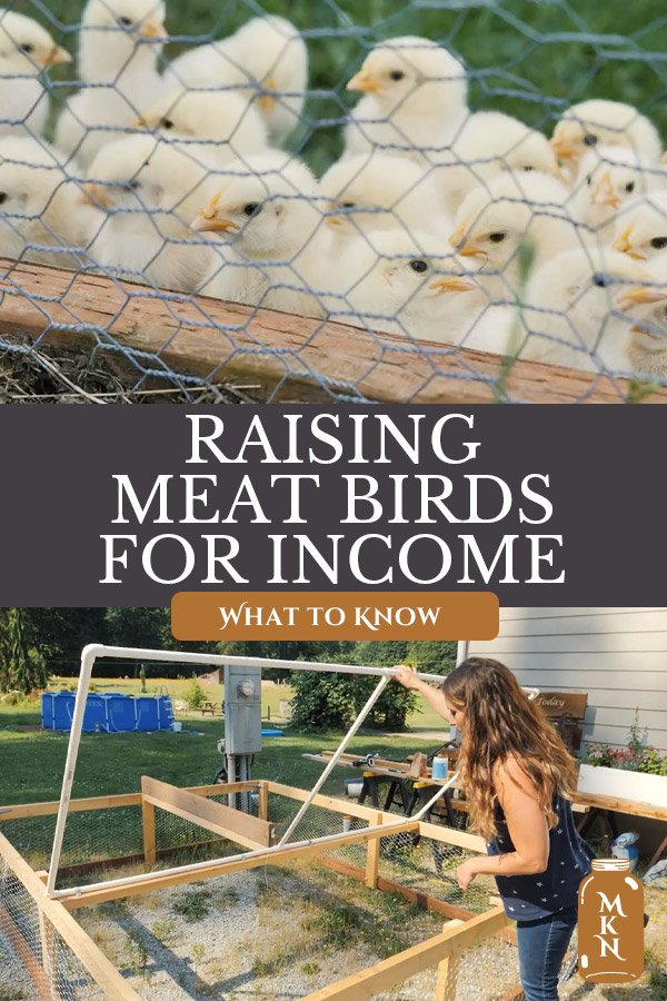 Raising Chickens for Profit Melissa K. Norris