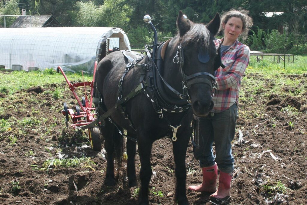 A woman using a horse drawn plow in the garden.