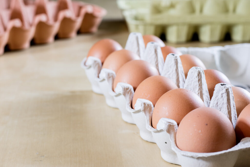 Cartons of eggs sitting on a counter.