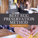 Pinterest pin for how to freeze dry eggs. Image of a woman holding a jar of freeze dried eggs.
