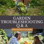 Pinterest pin for a gardening and homesteading Q & A. Images of a woman in the garden.