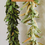 Pinterest pin for how to make leather britches. Image of strung green beans.