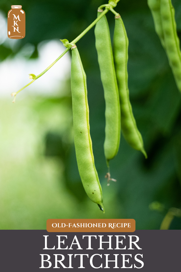 Leather Britches Green Beans (200YearOld Preservation Method)