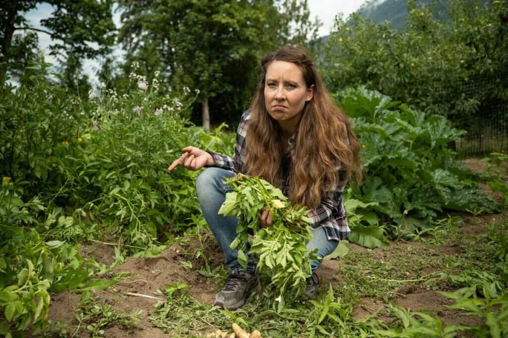 A woman in the garden with a frown pointing to her potatoes affected by early blight.