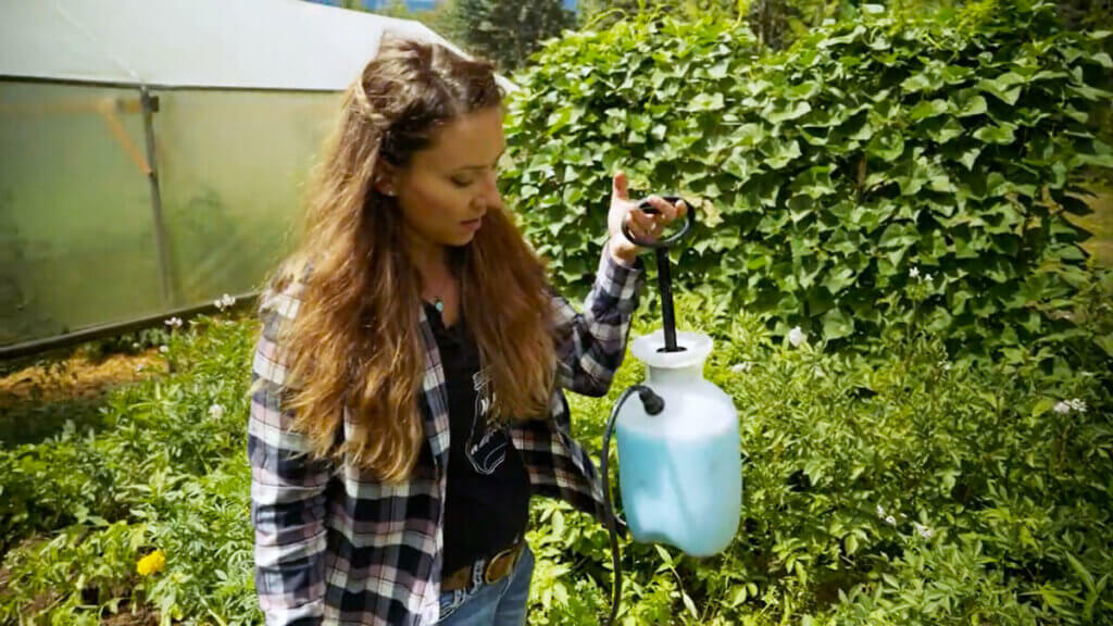 A woman holding up a sprayer filled with blue copper.