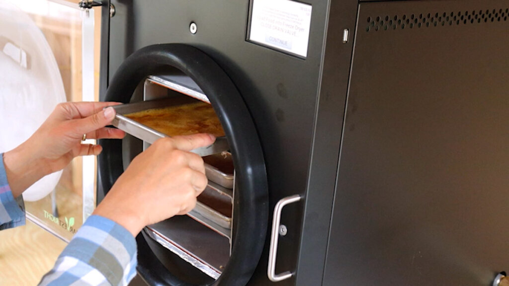 Image of tray of freeze dried eggs coming out of the freeze dryer.