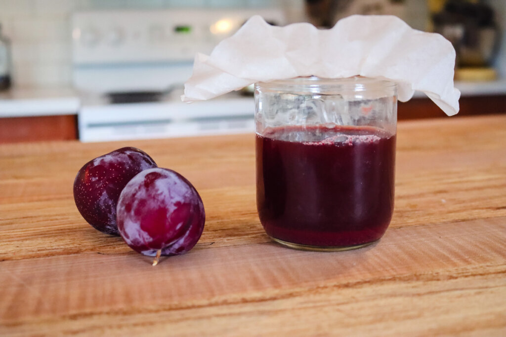 Fruit vinegar in a jar with two plums next to it on the counter.