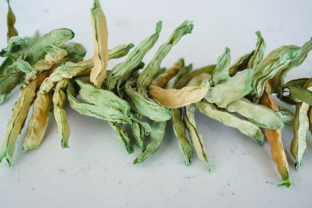 Leather Britches Green Beans (200YearOld Preservation Method)