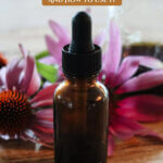 Pinterest pin for echinacea tincture with images of echinacea flowers.