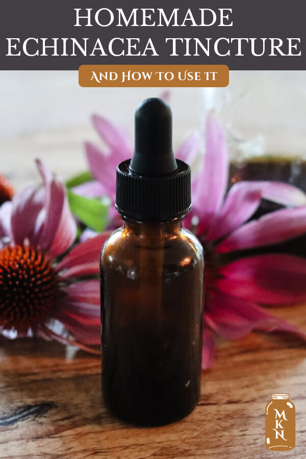 Echinacea Tincture How To Make It & Use It Melissa K. Norris