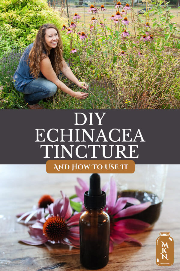 Echinacea Tincture How To Make It & Use It Melissa K. Norris