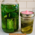 Pinterest pin for the ultimate guide to fermented vegetables. Image of fermented vegetables.