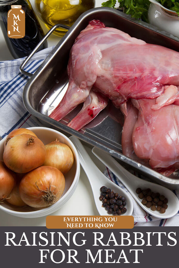 Everything You Need to Know About Raising Rabbits for Meat - Melissa K ...