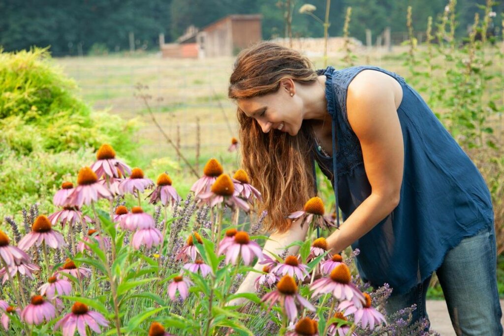 A woman bending forward amongst echinacea flowers.