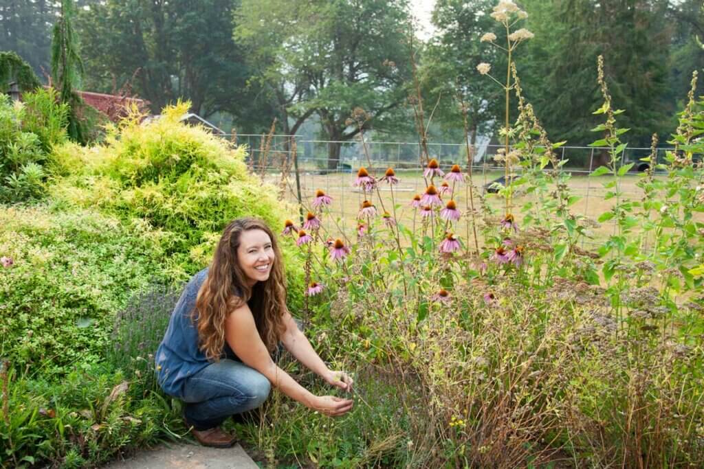 A woman in an herb garden cutting echinacea flowers.