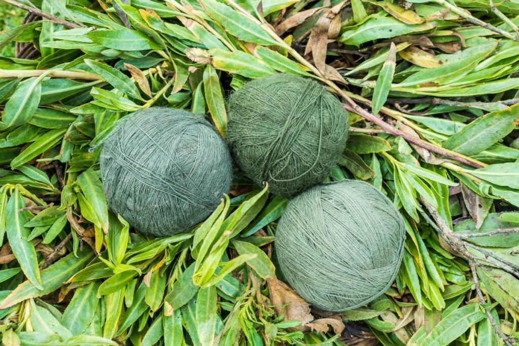 Naturally dyed green balls of yarn.