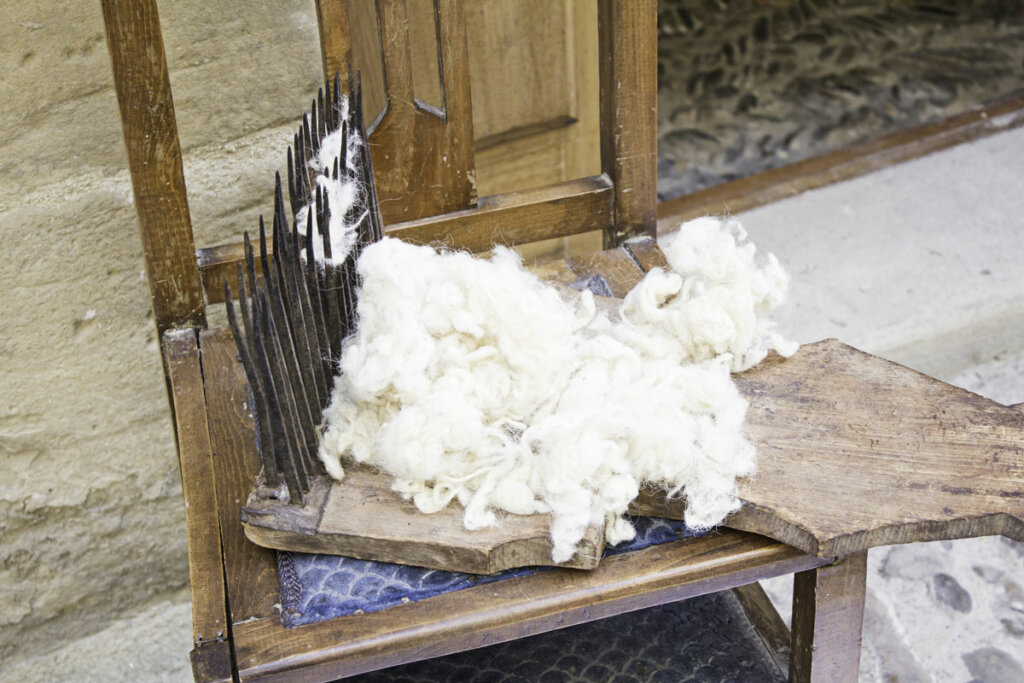 Fresh shorn fleece from a sheep.