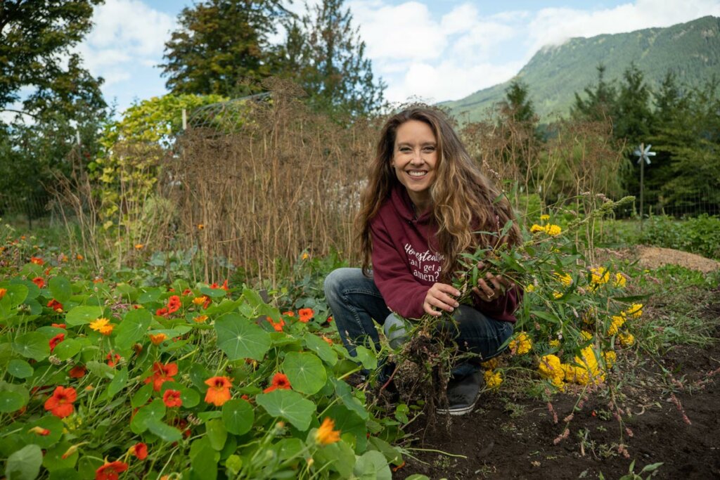 A woman pulling weeds from her garden in late summer, early fall.