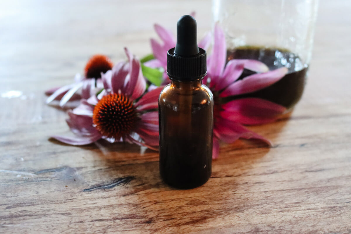 Echinacea flowers and a tincture bottle sitting on a wooden counter top.