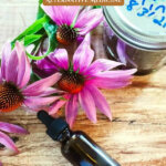 Pinterest pin on alternative medicine with herbs. A photo of a bottle of tincture next to echinacea flowers.