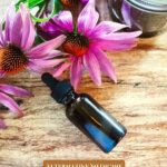 Pinterest pin on alternative medicine with herbs. A photo of a bottle of tincture next to echinacea flowers.