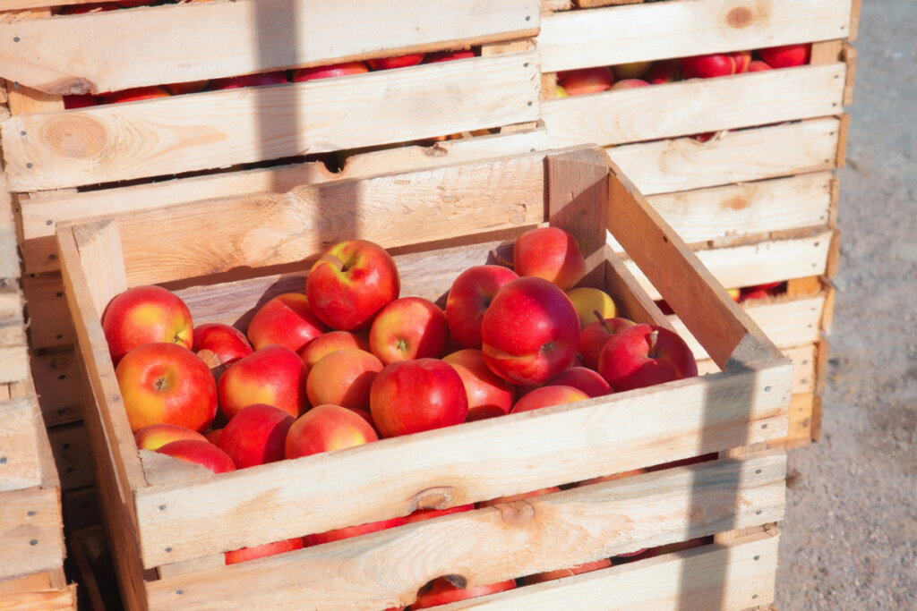 Red apples in a wooden crate with more crates stacked behind it.