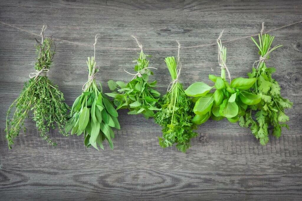 Bundles of fresh herbs tied with twine and hanging upside down to dry.